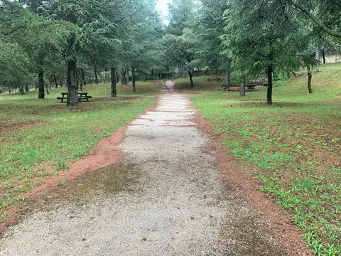 Camino entre árboles en los jardines