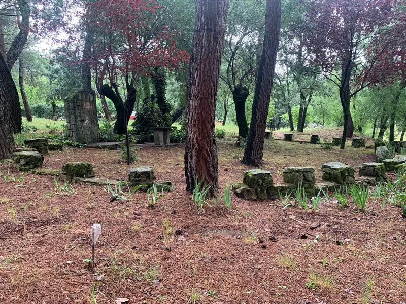 Pinar con asientos de piedra donde se hacen algunas prácticas del retiro, en San Lorenzo de El Escorial